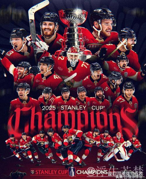 佛罗里达美洲豹暂时领先，总比分锁定胜局！